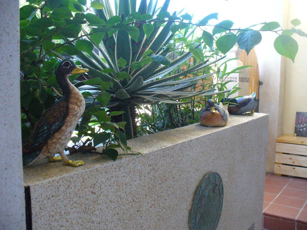 Alongs Garden Bed & Breakfast Kota Tua Kota Tua Hengchun Bagian luar foto
